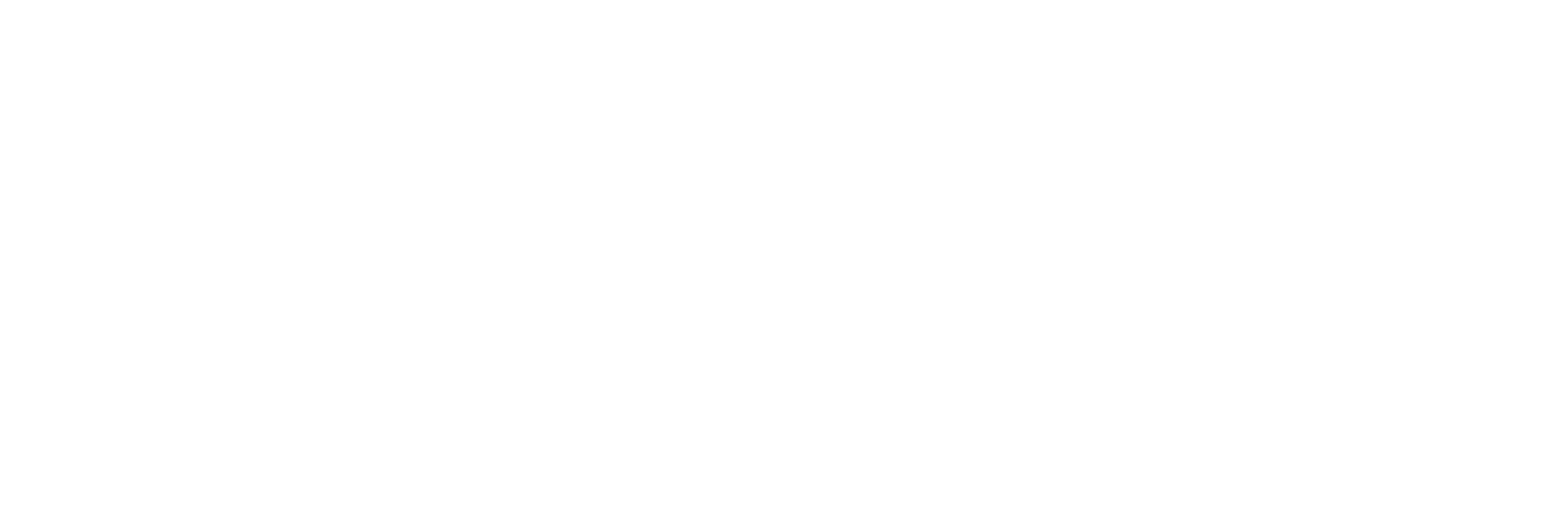 Precise logo